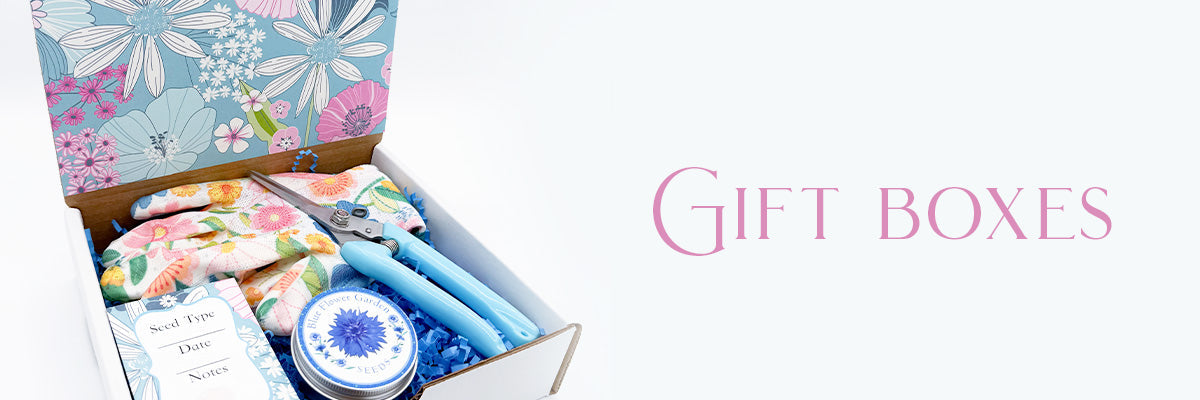 Ready-to-Grow Garden Gift Boxes