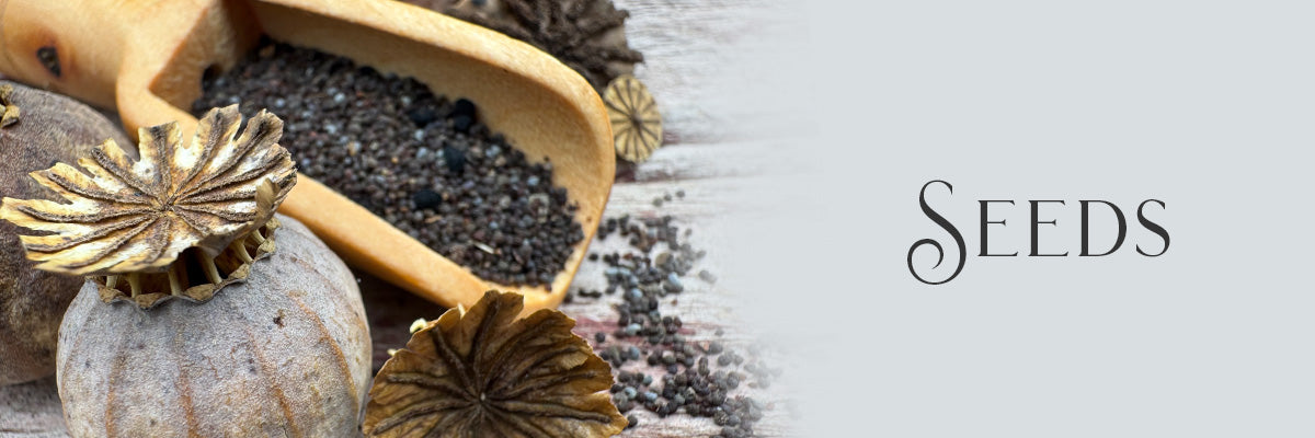 Bloom & Grow Flower Seeds