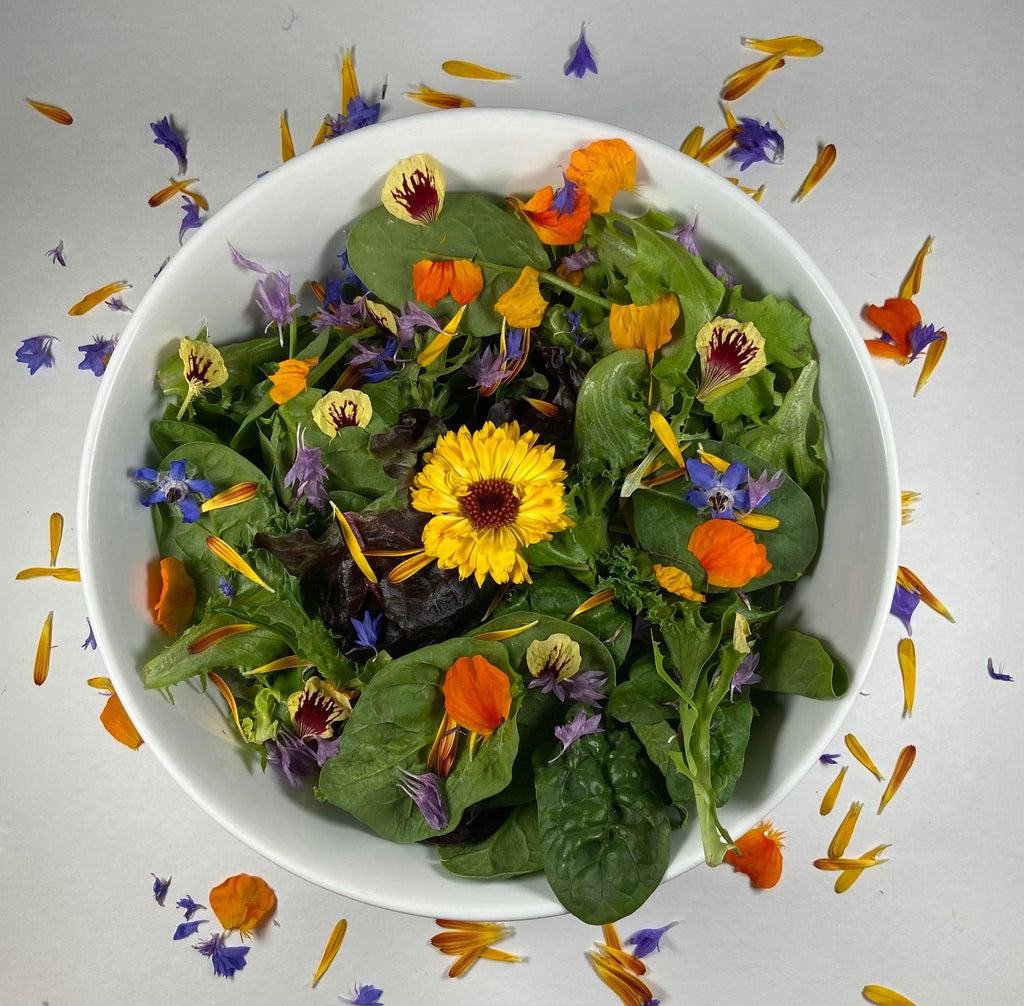 Edible Flower Garden Gift Tin – Borage, Calendula, Cornflower & Nasturtium Seeds