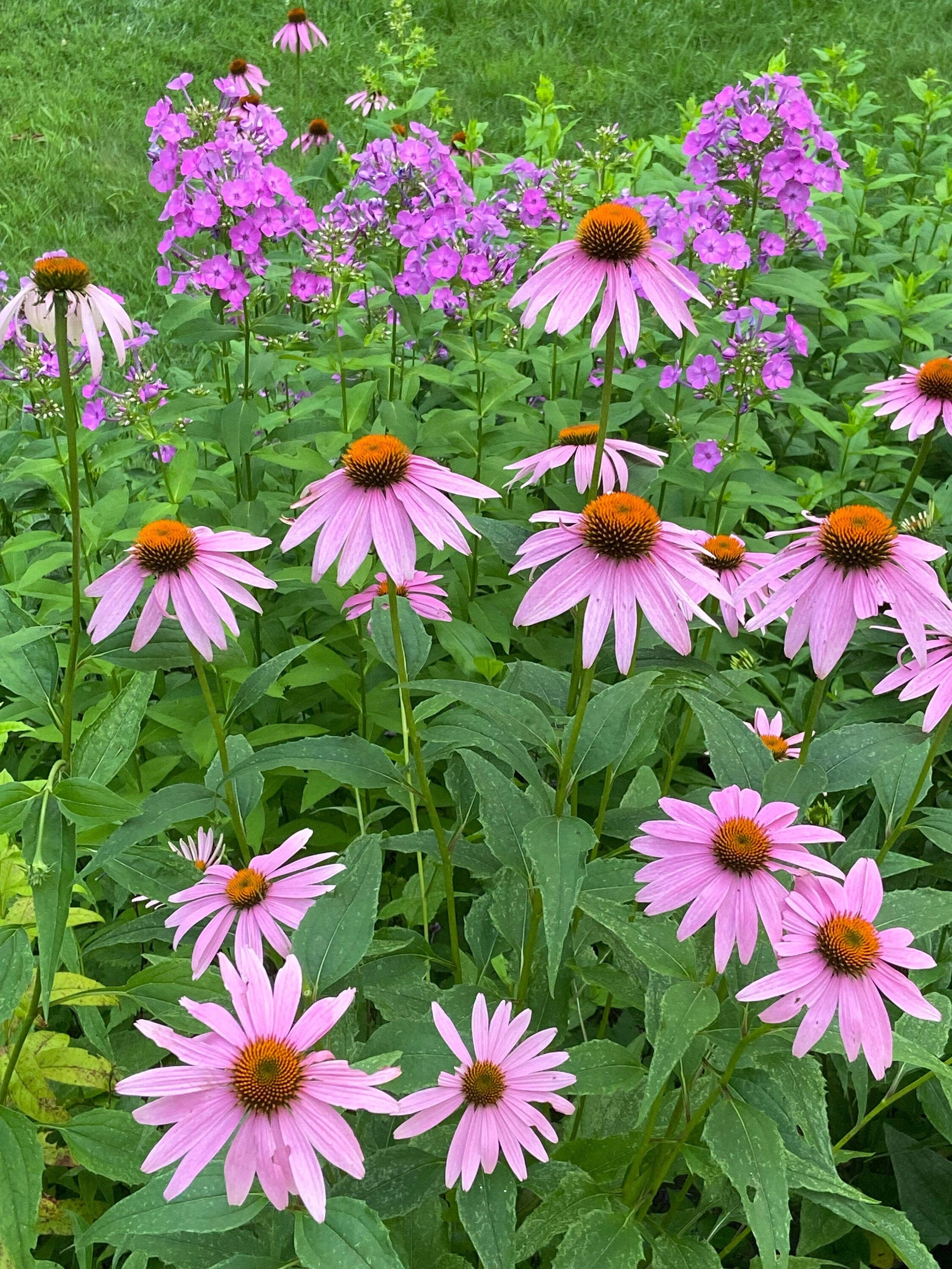 Tea Garden Gift Box – Personalized Flower Seeds for Tea & Garden Lovers