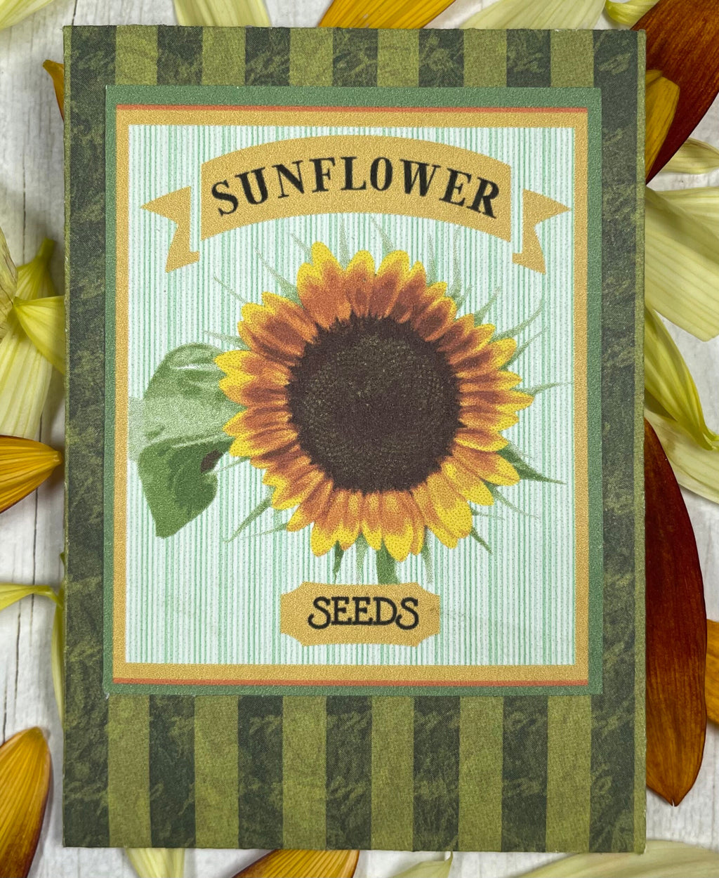 Sunflower Seeds & Garden Gloves Kit – Gift for Gardeners