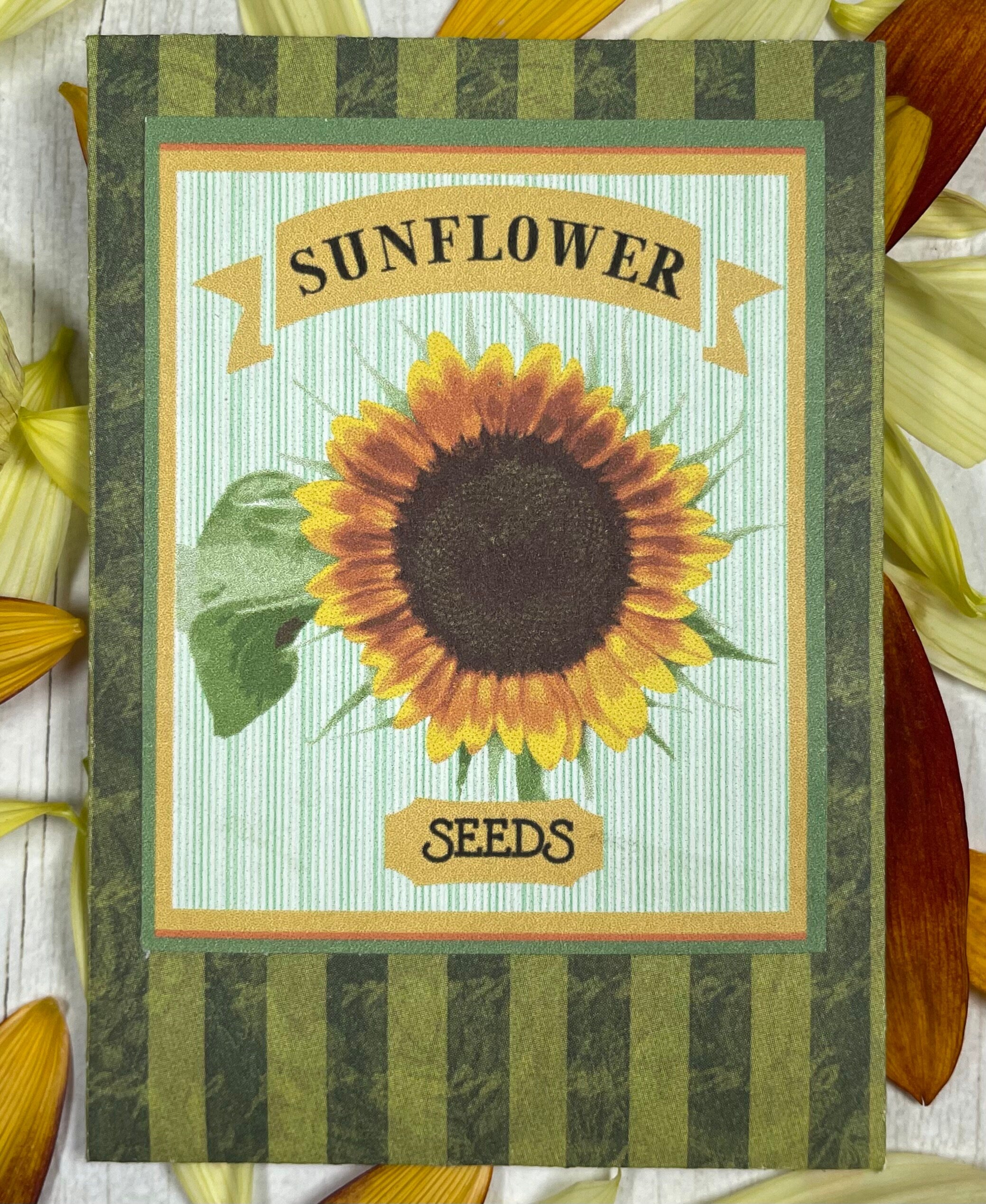 Sunflower Seeds & Garden Gloves Kit – Gift for Gardeners