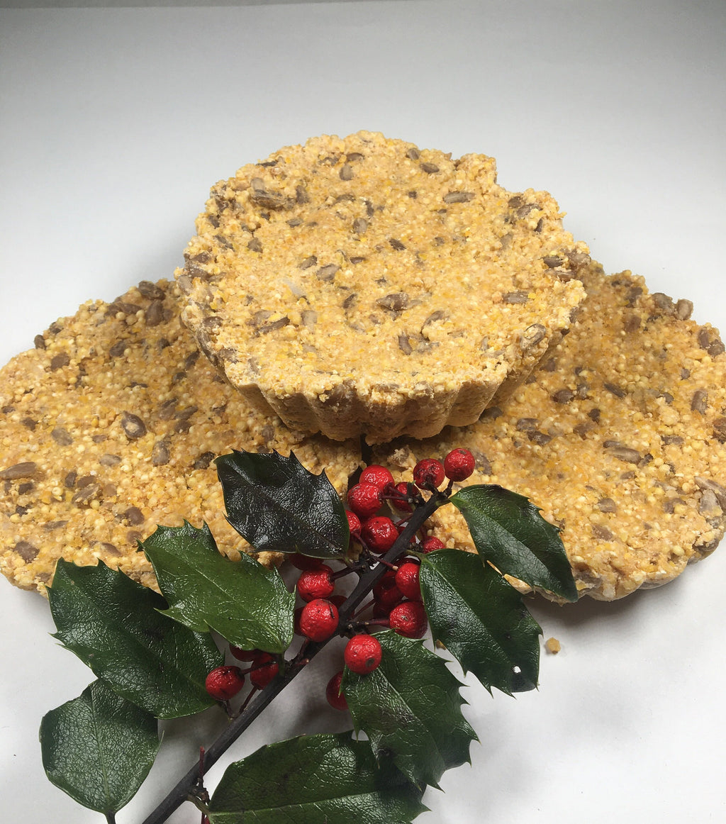 DIY Suet Kit for Birds – Bird Seed Gift Box, Fun Backyard Bird Feeder Kit