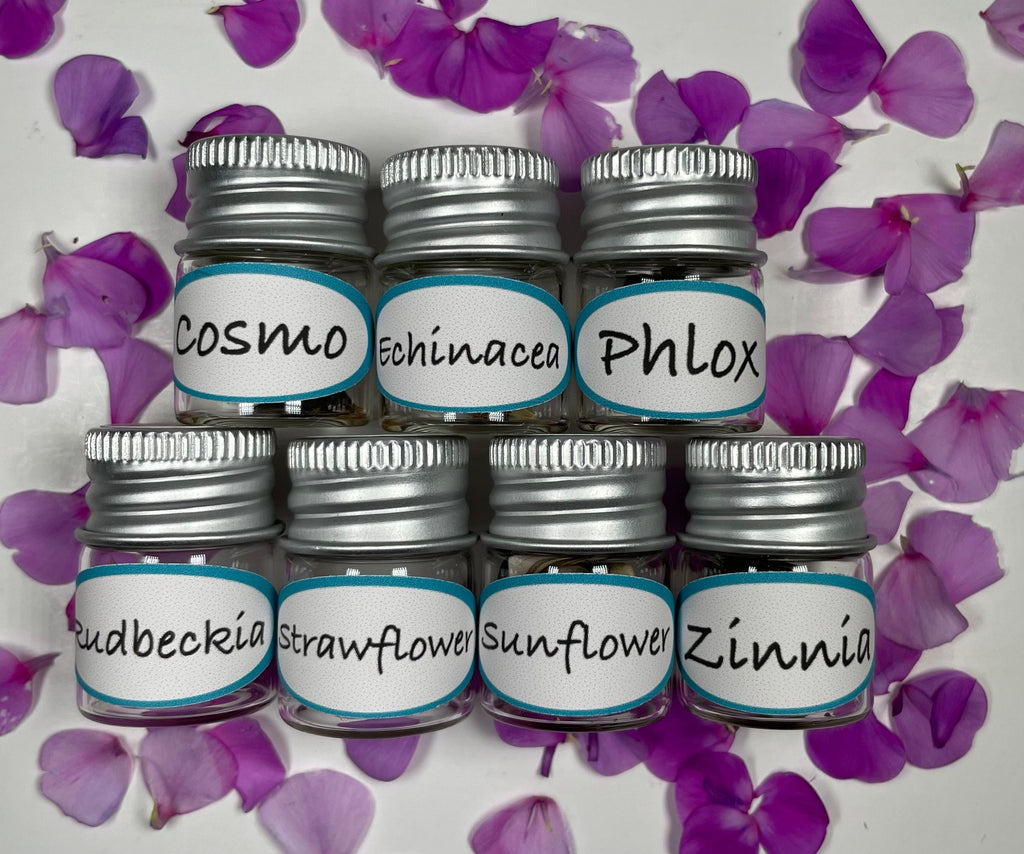 Butterfly Garden Seed Kit – 7 Flower Seeds in Mini Jars & Gift Tin