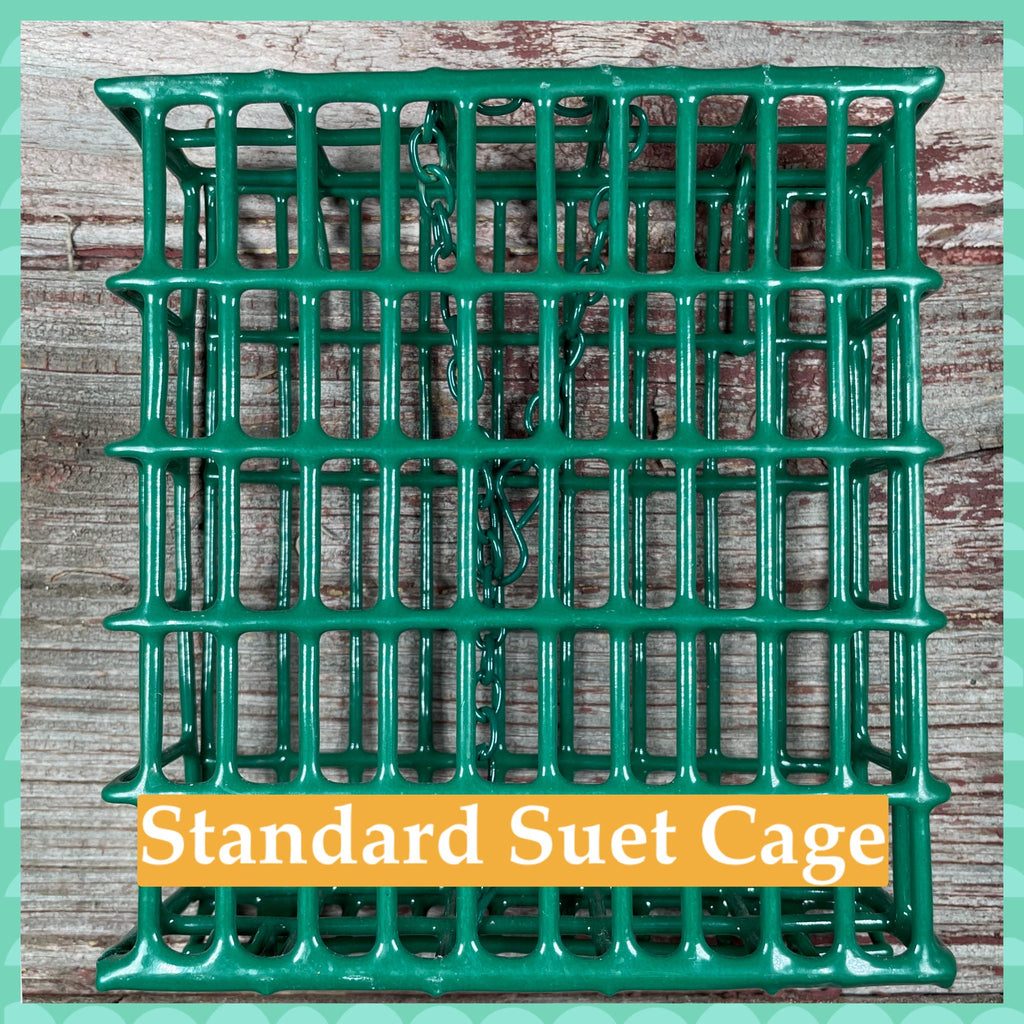 DIY Suet Kit for Birds – Bird Seed Gift Box, Fun Backyard Bird Feeder Kit