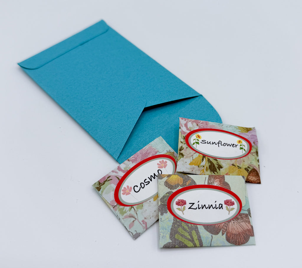 Serenity Garden Gift Kit – Butterfly, Bee & Hummingbird Pollinator Flowers with Gloves, Scissors & Stone