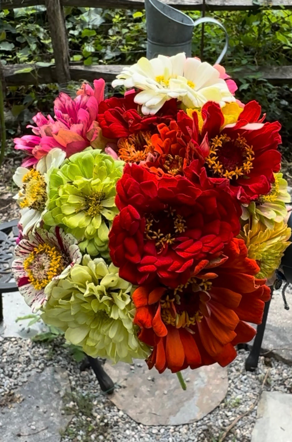 Zinnia Garden Gift Box – Candy Cane Zinnia Seeds, Gloves & Shears