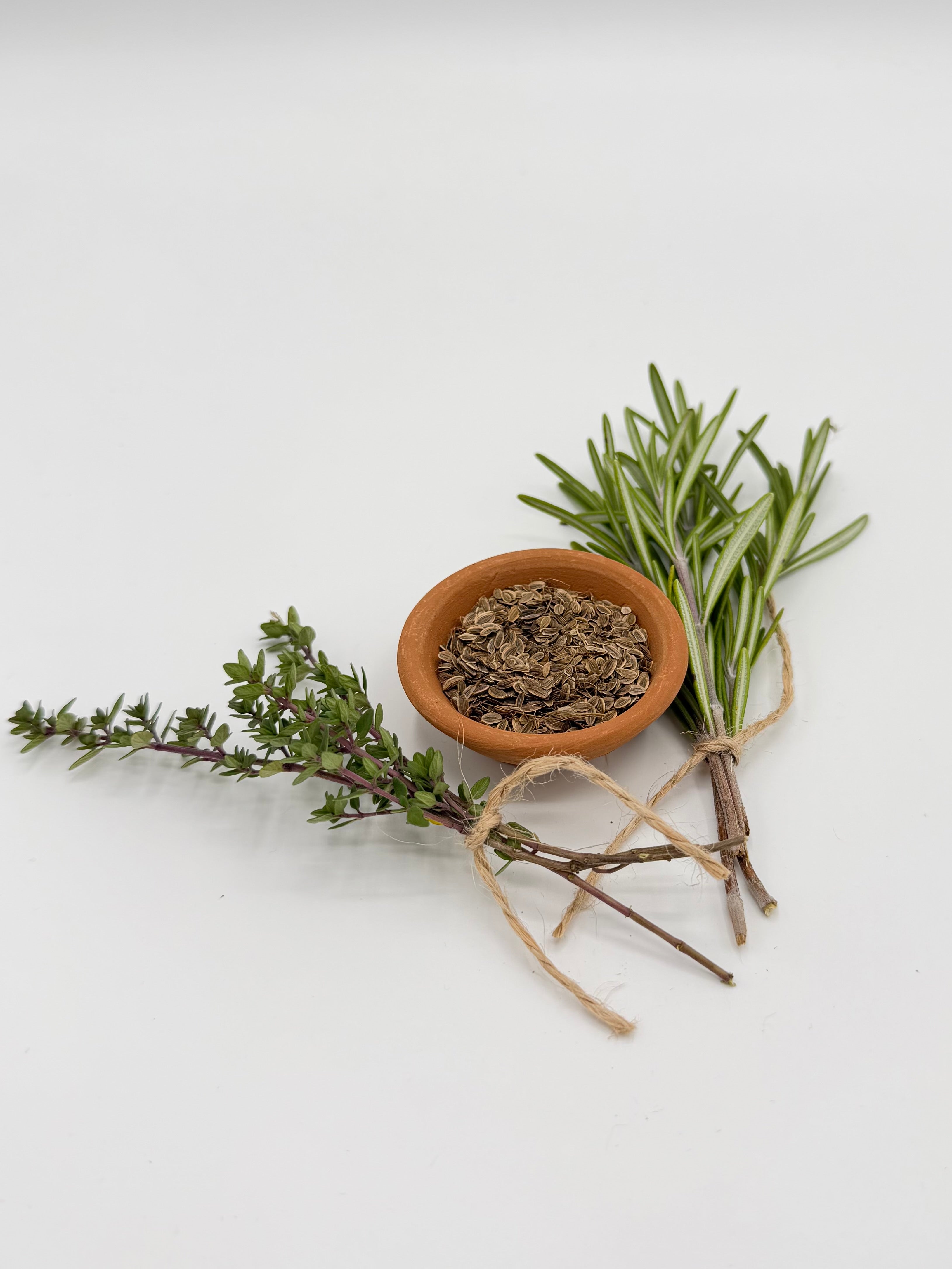 Herb Growing Kit – Seeds, Gloves, and Garden Shears