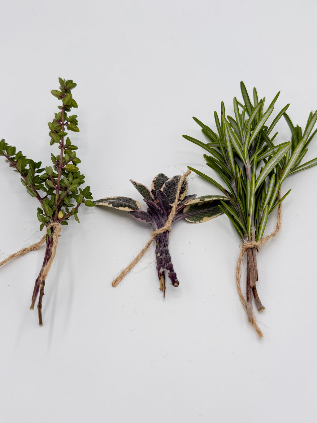 Herb Growing Kit – Seeds, Gloves, and Garden Shears