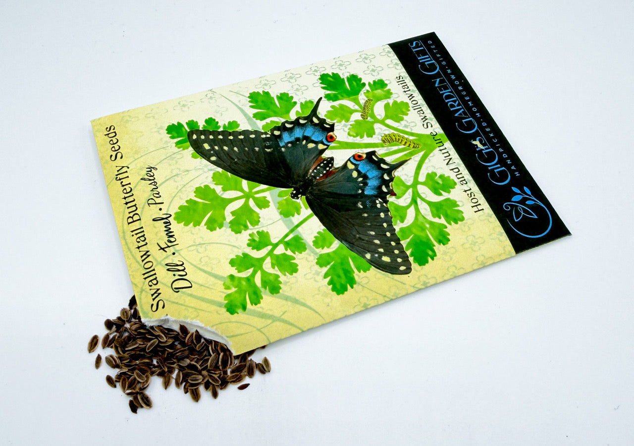 Butterfly Garden Seeds-Black Swallowtail Host Plants