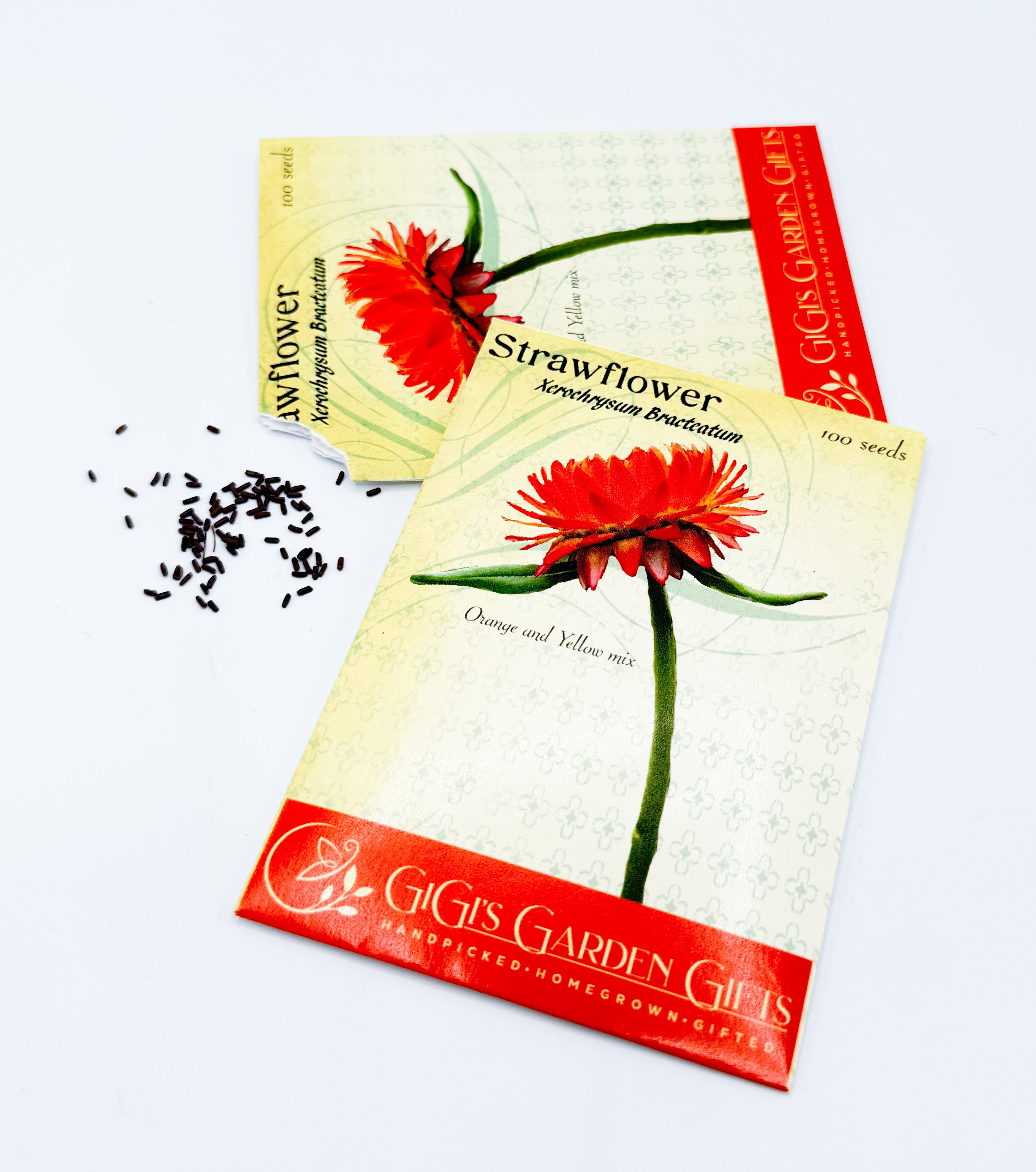 Strawflowers – Everlasting Mix (100 Seeds) Orange and Yellow mix