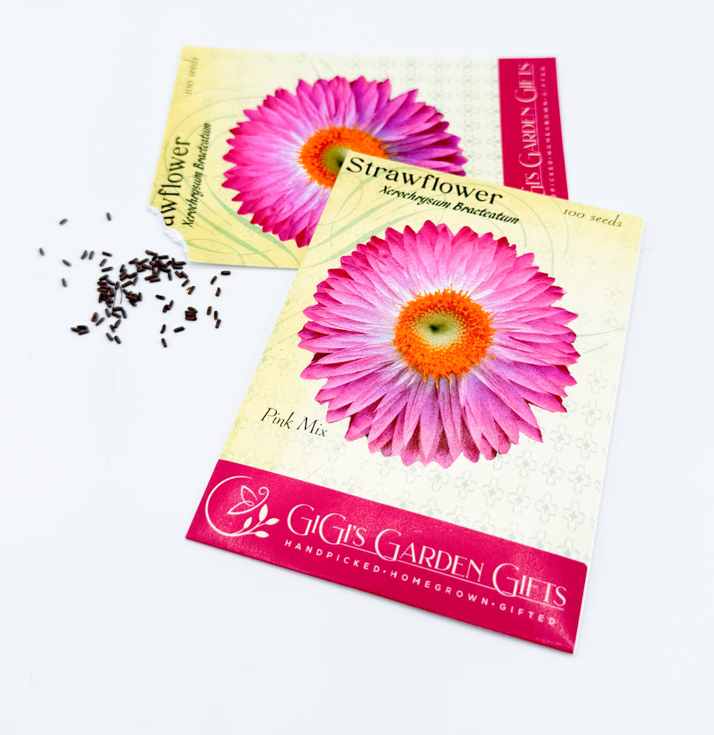 Pink Strawflowers (Everlasting Flowers) 100 Seeds Pink Mix