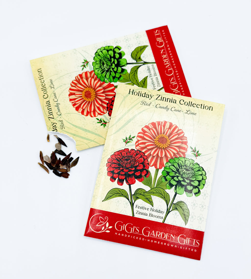 Zinnia Seed Holiday Gift Tin – Red, Green & candy cane zinnia holiday colors