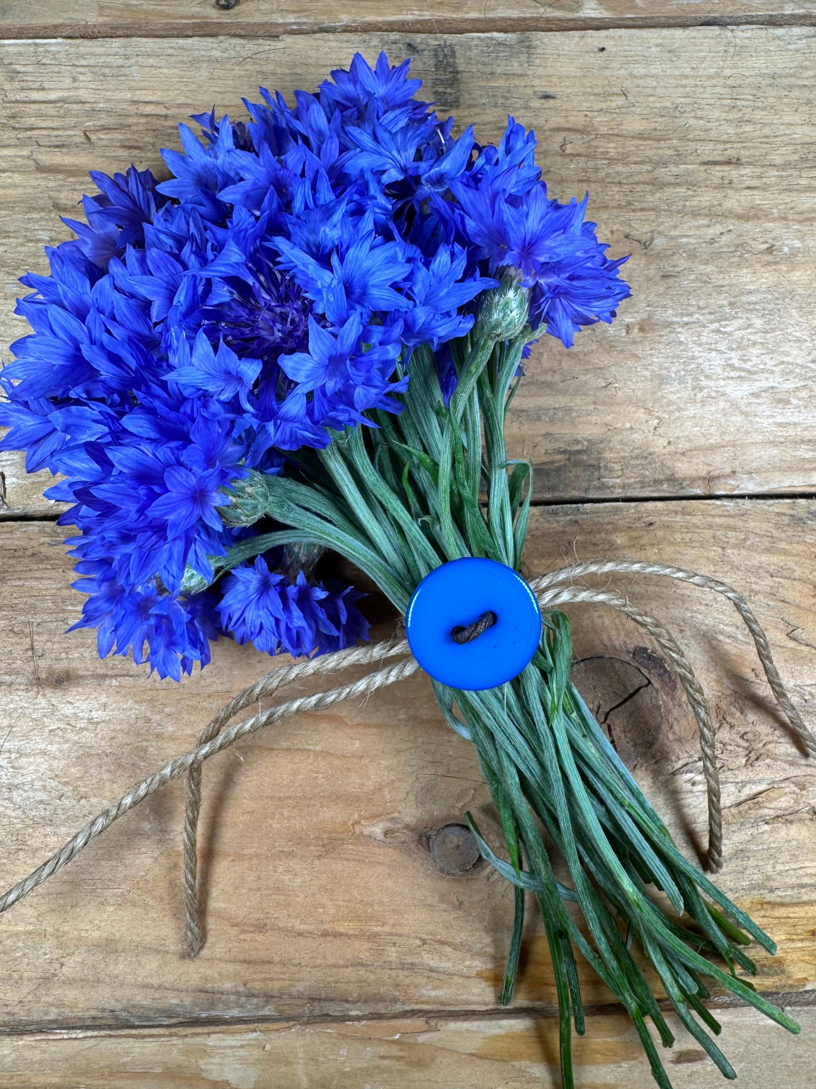 Edible Flower Seeds Mix – Nasturtium, Cornflower, Calendula – Culinary Flower Garden
