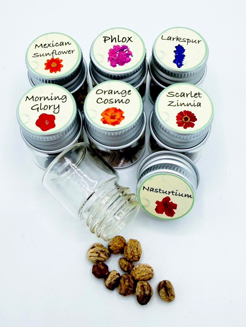 Rainbow Garden Seed Kit – Pollinator-Friendly Flower Seeds for Bees & Butterflies