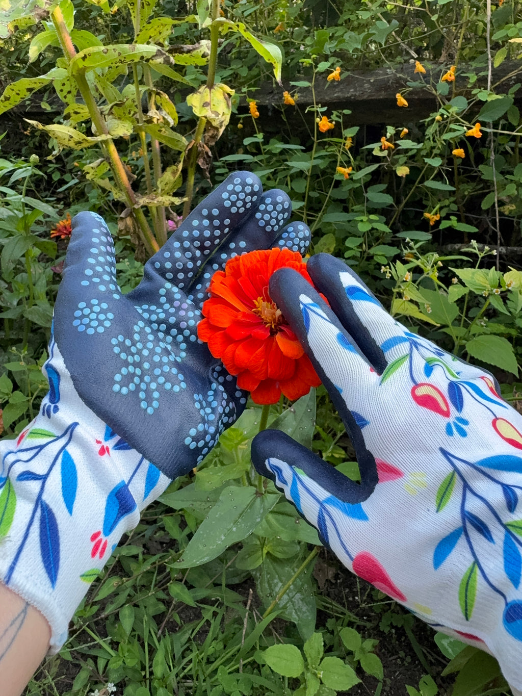 Zinnia Garden Gift Box with Seeds, Gloves & Shears – Flower Seed Kit for Gardeners