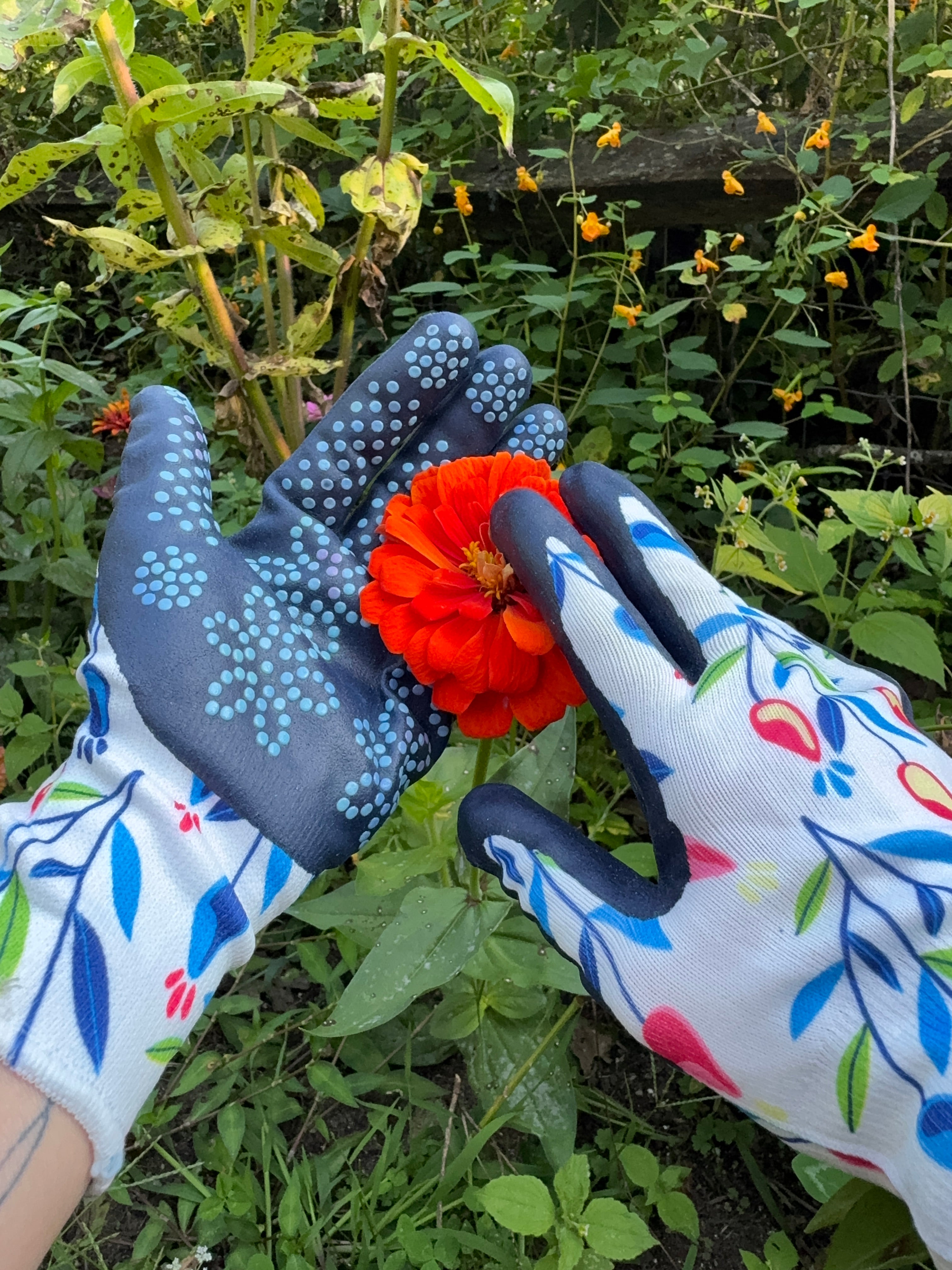 Zinnia Garden Gift Box with Seeds, Gloves & Shears – Flower Seed Kit for Gardeners