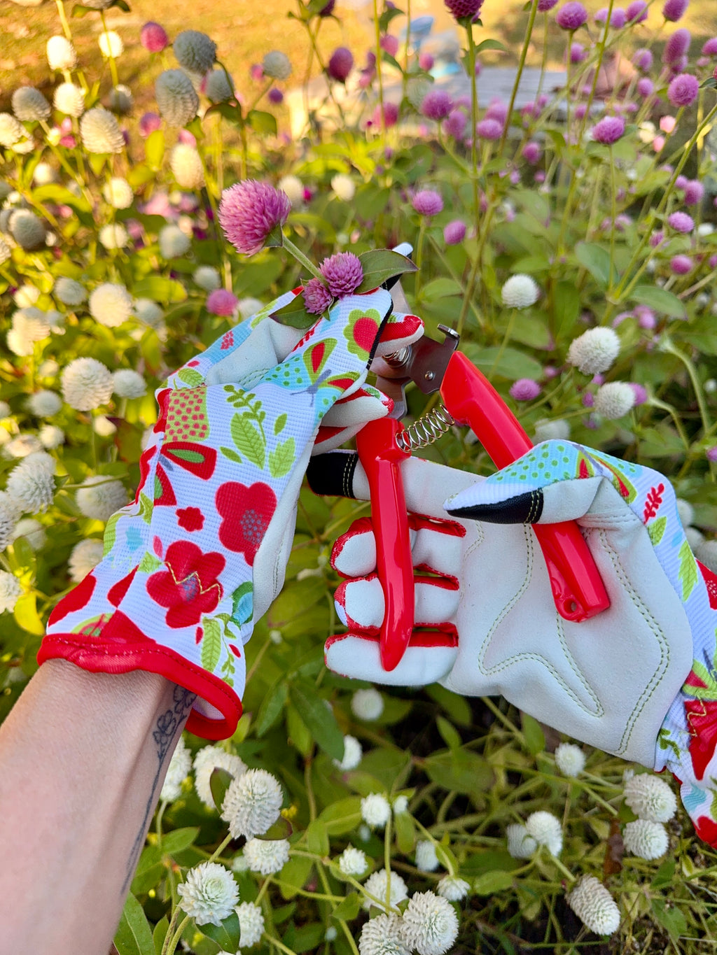 Butterfly Garden Gift Box – Flower Seed Kit with Gloves & Shears