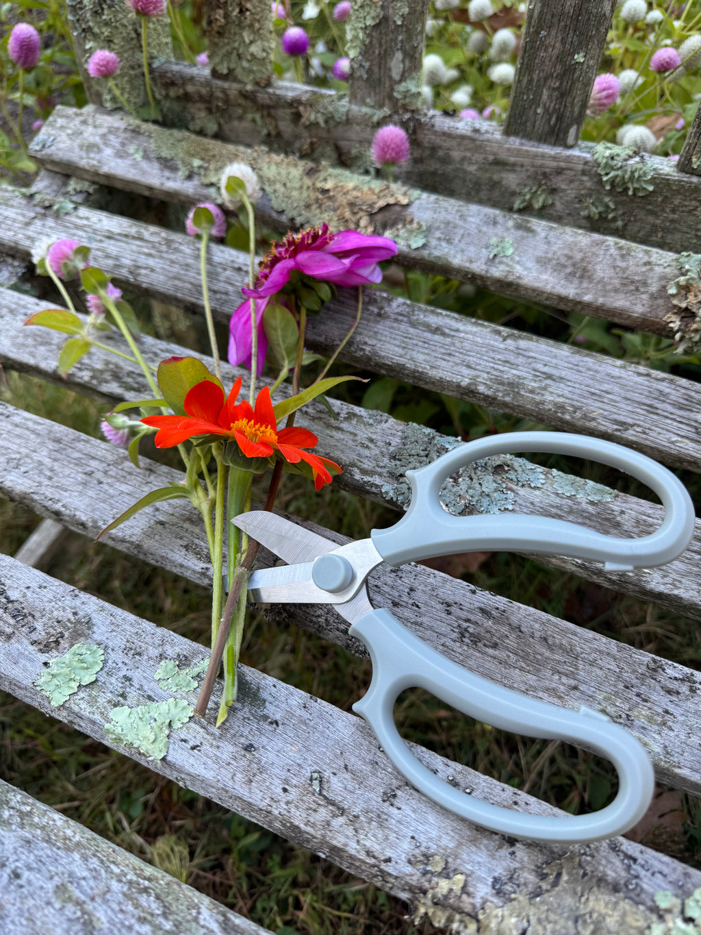 Floral Shears – Garden Pruning Scissors, Steel Trimming Shears for Flowers & Herbs