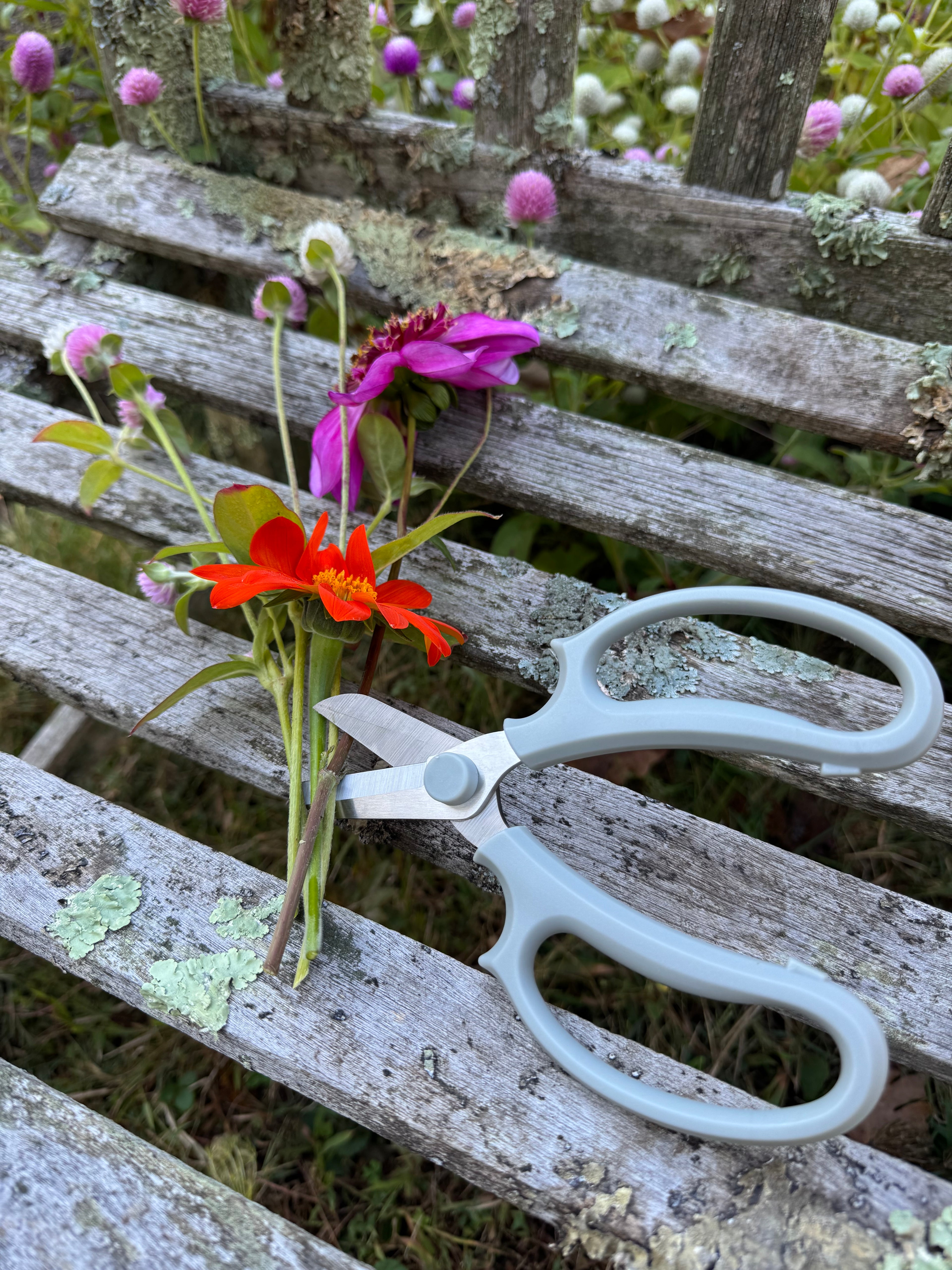 Serenity Garden Gift Kit – Butterfly, Bee & Hummingbird Pollinator Flowers with Gloves, Scissors & Stone