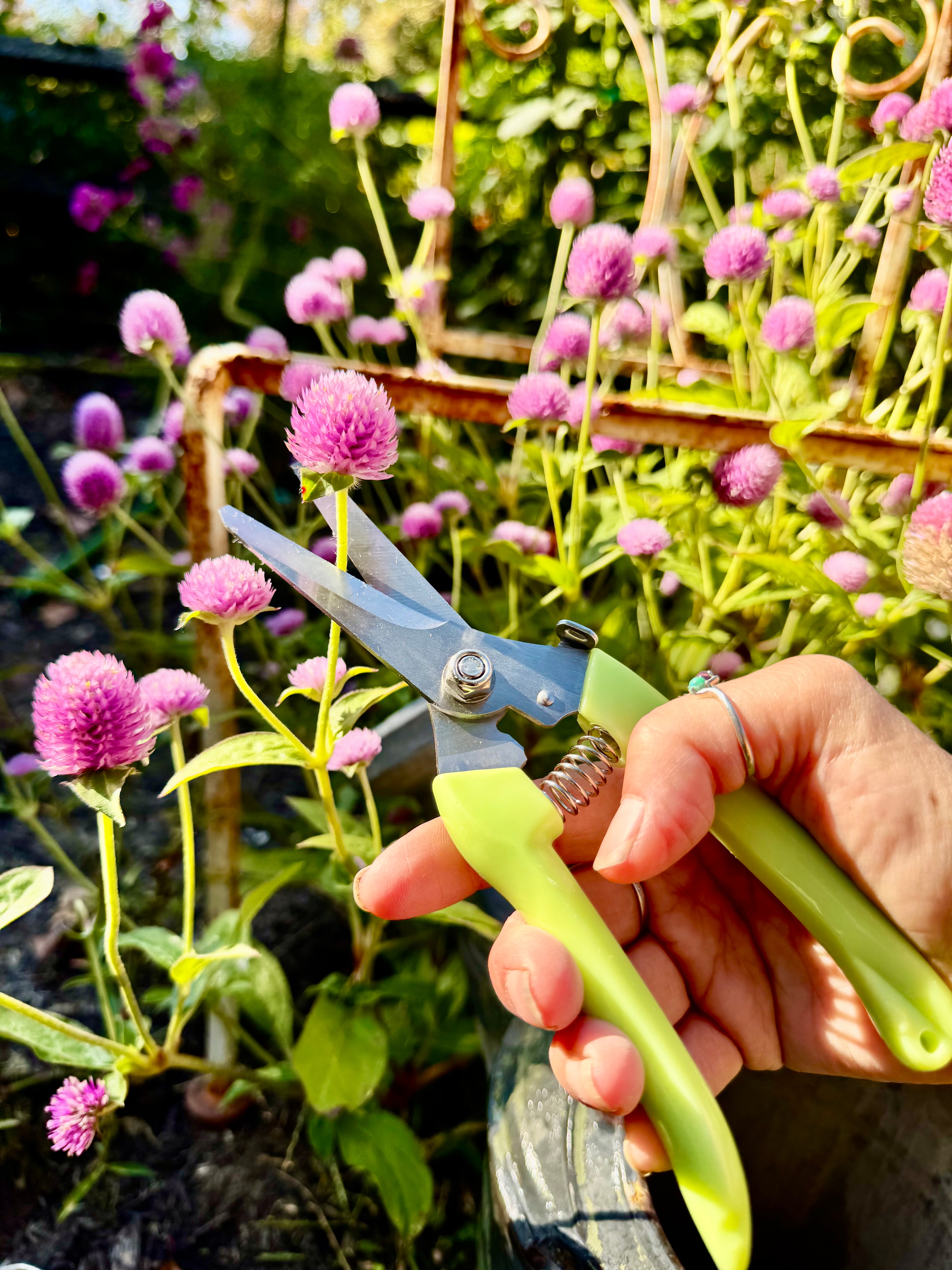 Hummingbird Flower Garden Gift Kit –  Seeds, Garden Gloves, & Tools