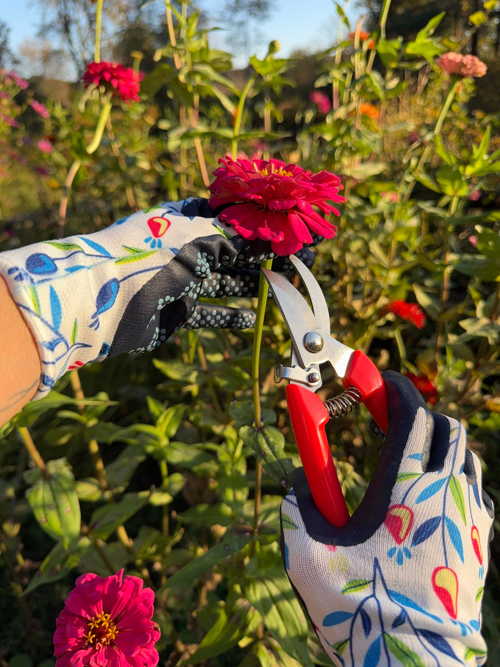 Zinnia Garden Gift Box with Seeds, Gloves & Shears – Flower Seed Kit for Gardeners