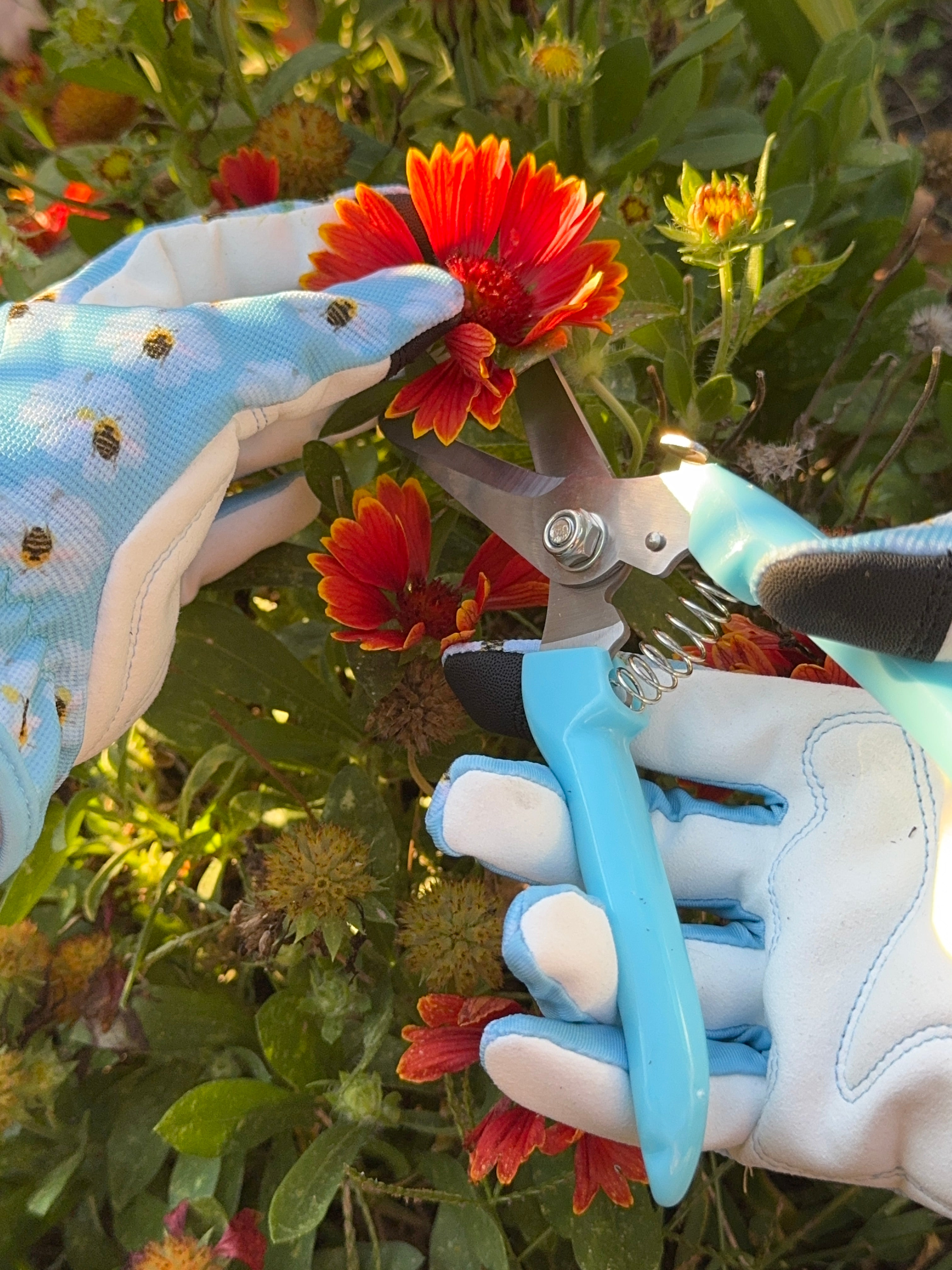 Pollinator Garden Gift Set – 130 Flower Seeds + Gloves & Shears/ Bee & Butterfly Kit