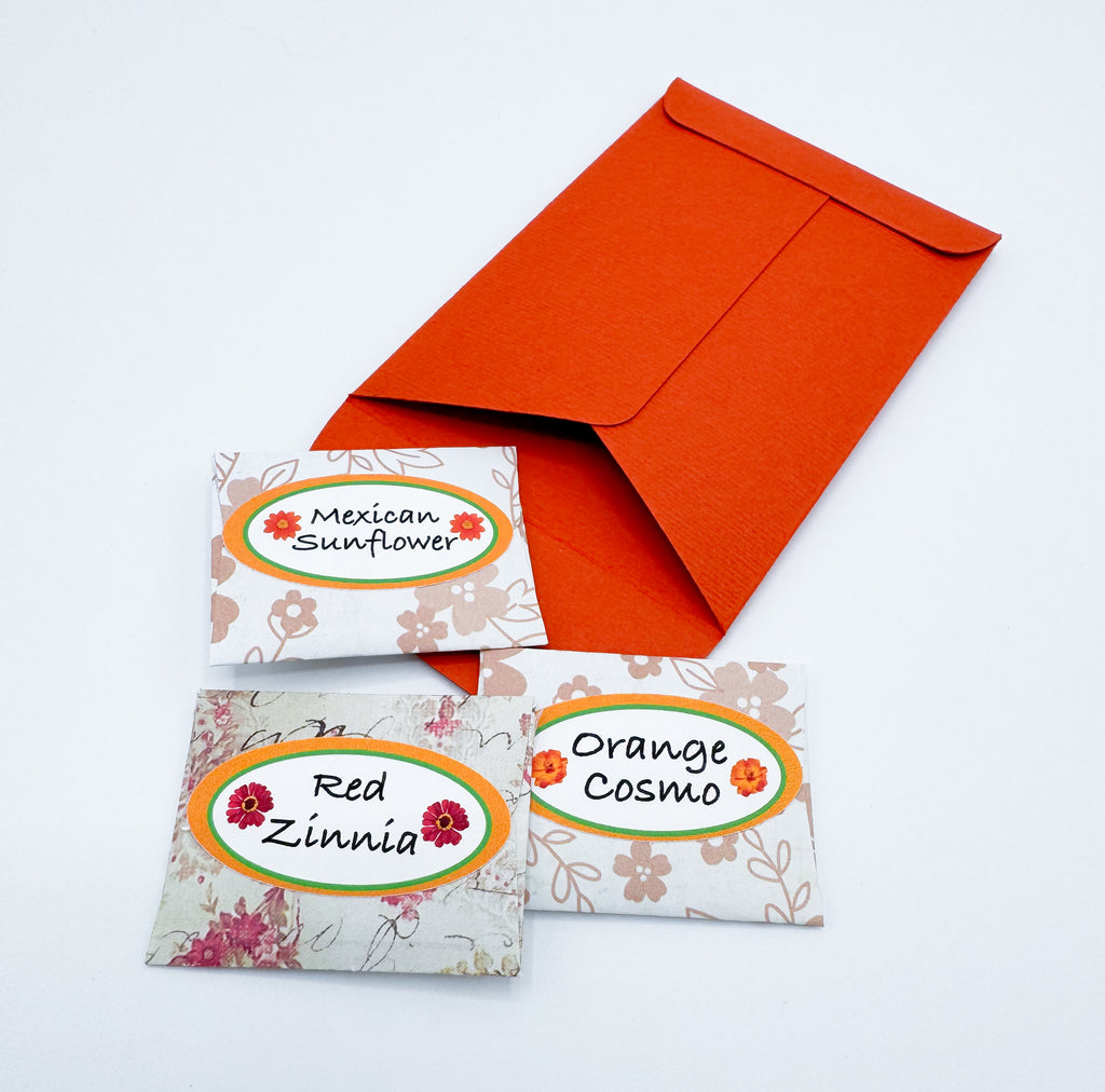 Hummingbird Seed & Glove Gift Kit – Personalized Garden Gift