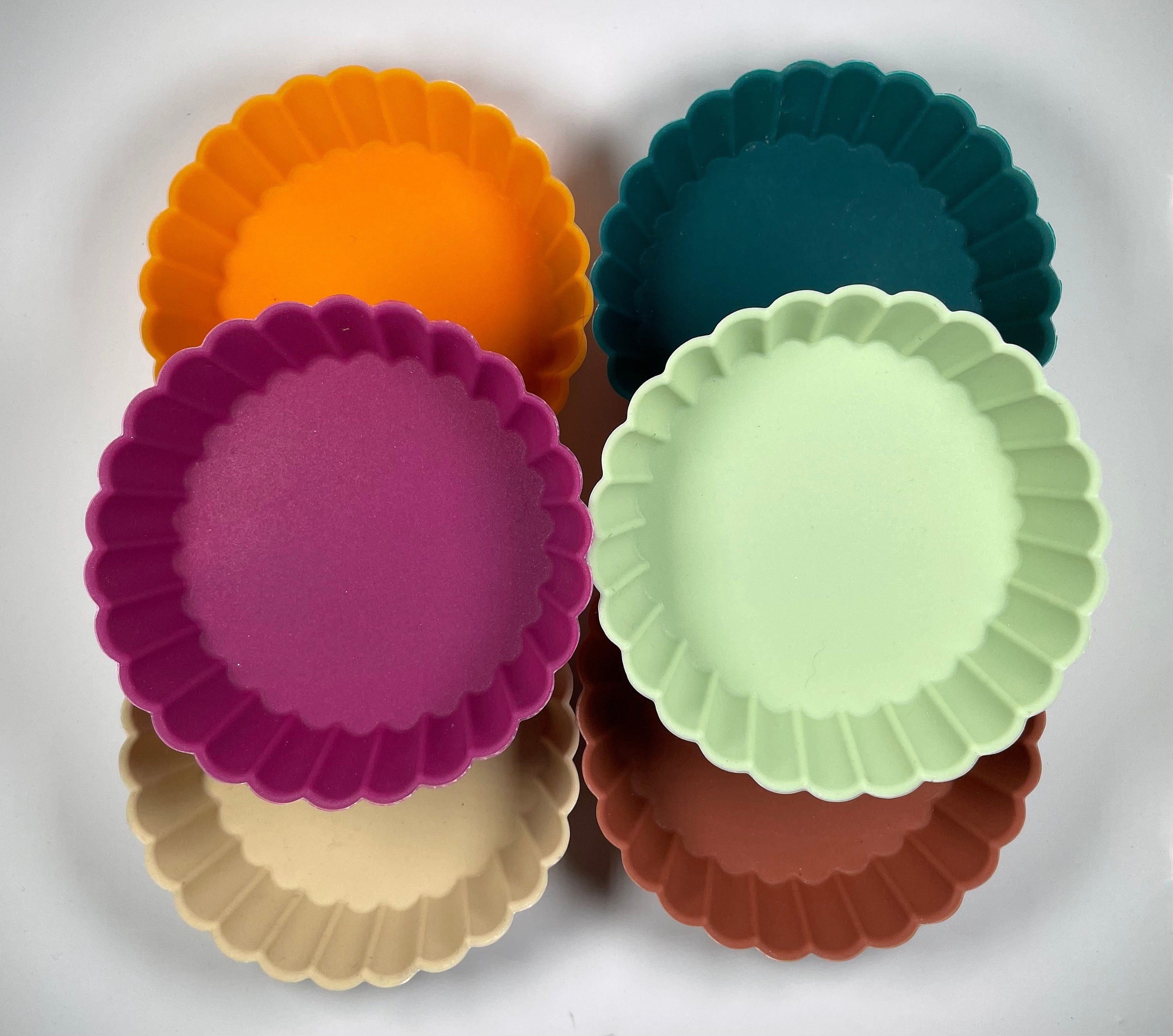 DIY Suet Kit for Birds – Bird Seed Gift Box, Fun Backyard Bird Feeder Kit