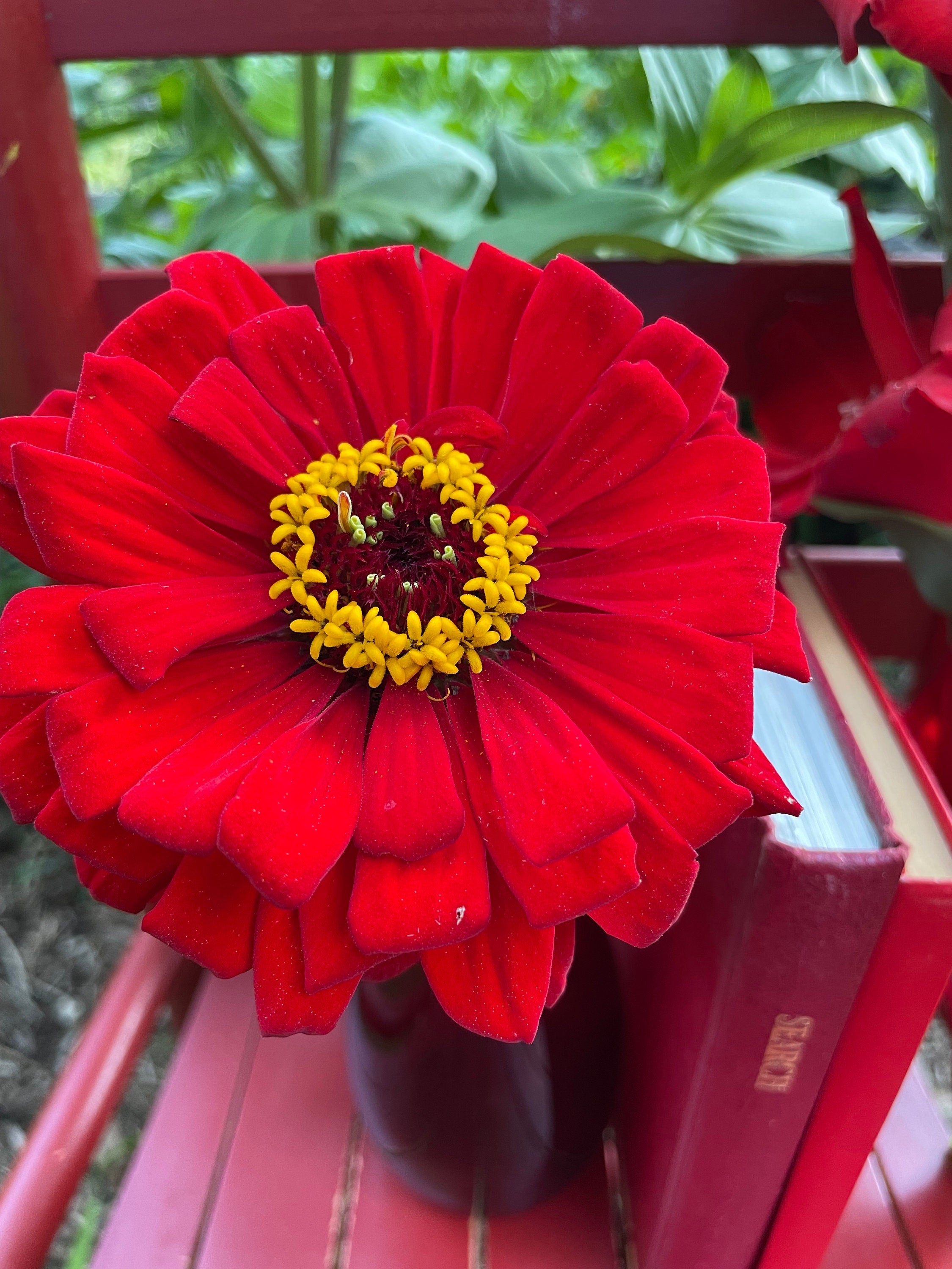 Hummingbird Seed & Glove Gift Kit – Personalized Garden Gift