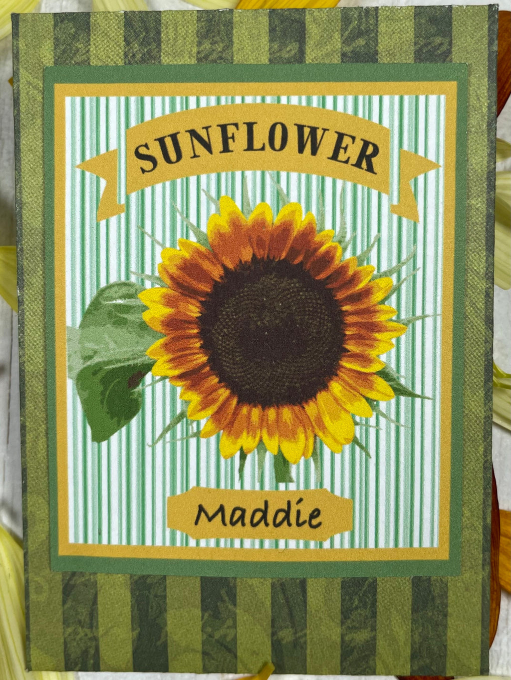 Sunflower Garden Gift Kit – Personalized Seed Packet, Gloves & Shears Set for Garden Lovers
