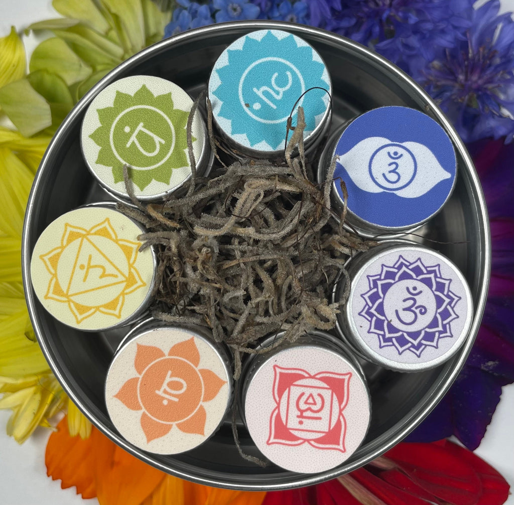 Chakra Flower Seed Tin – Mindful Gardening Gift for Yoga & Meditation Lovers