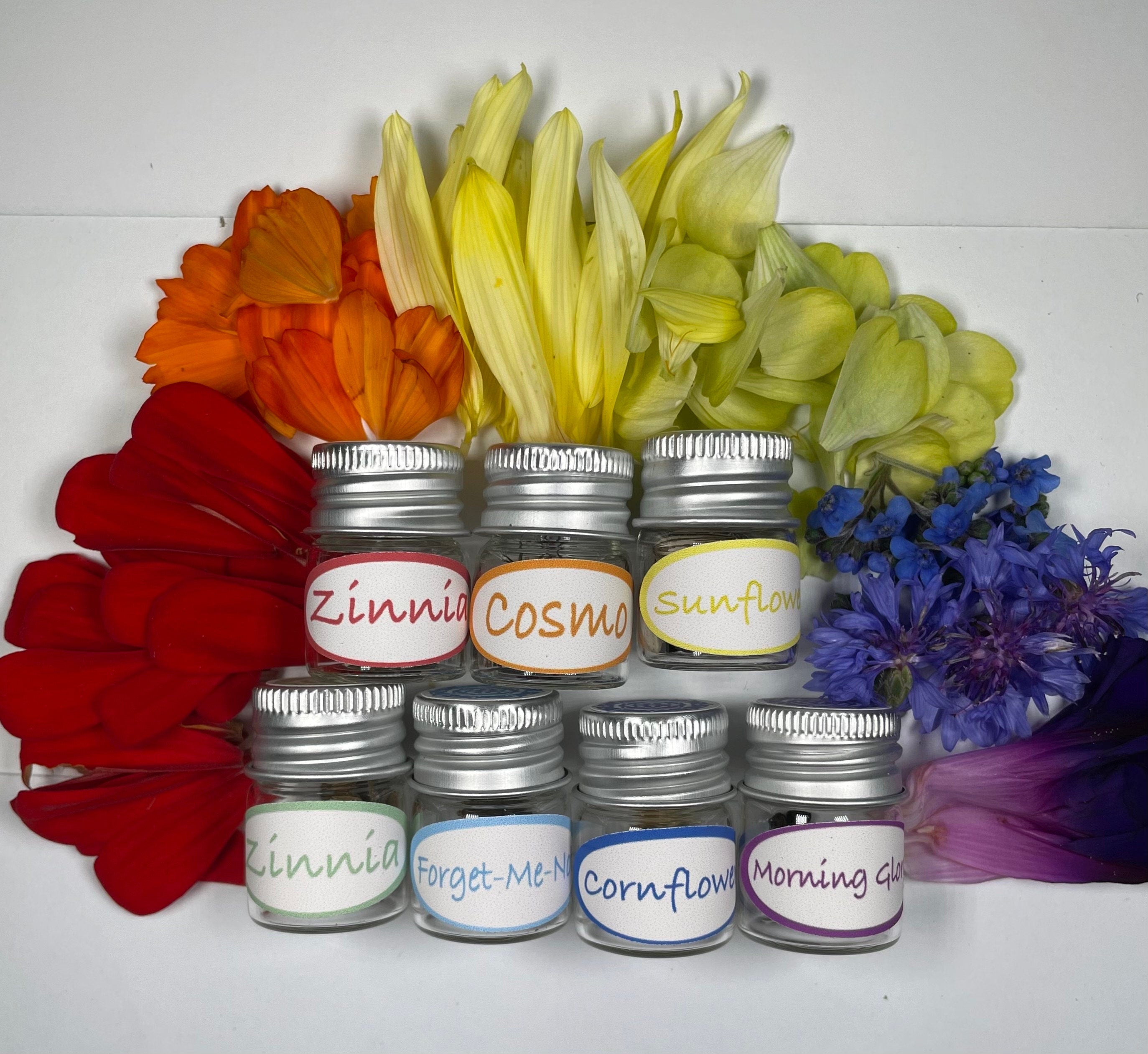 Rainbow Garden Seed Kit – Pollinator-Friendly Flower Seeds for Bees & Butterflies