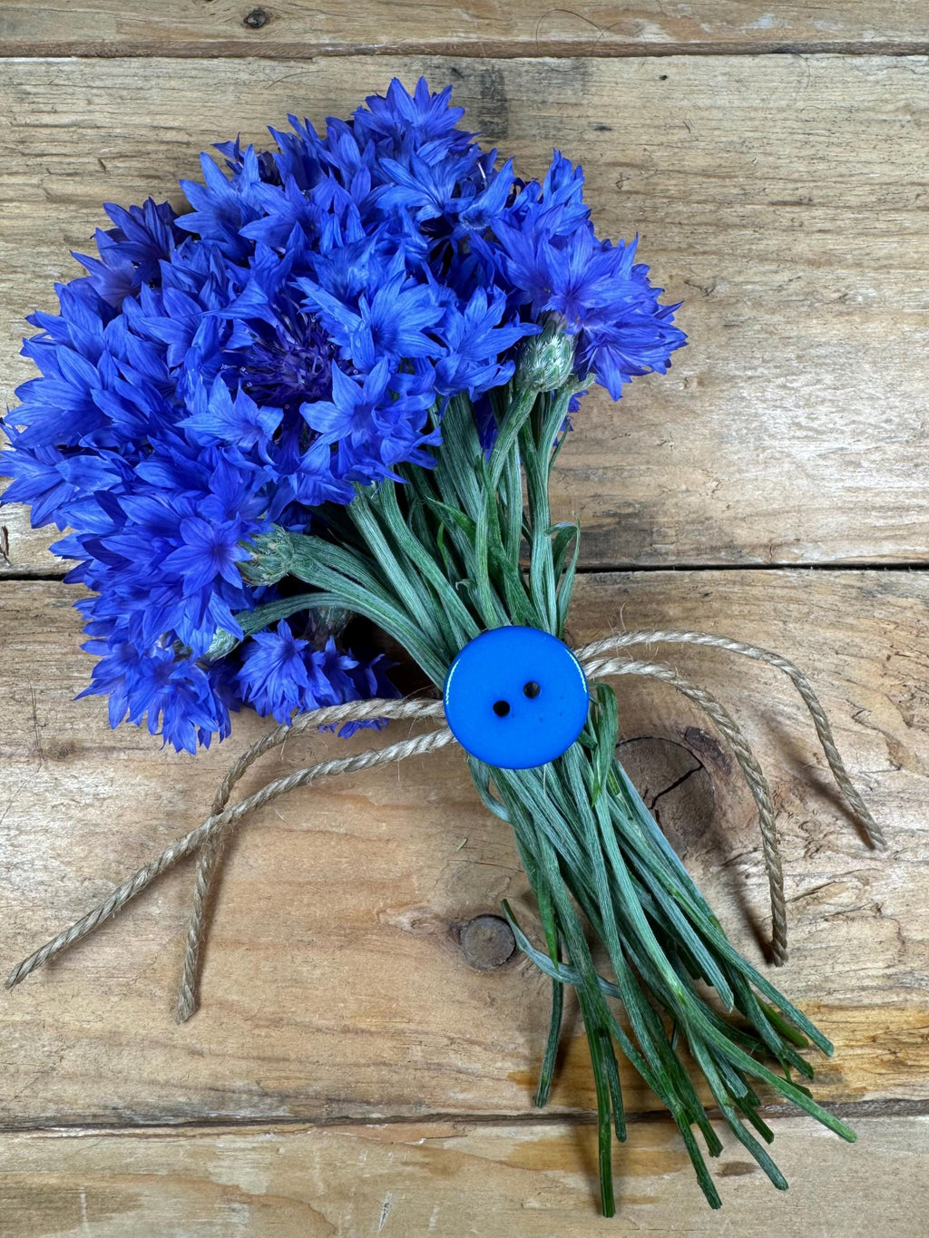 Blue Flower Garden Gift Box – Seeds, Gloves & Shears Kit